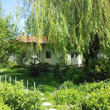 Bloomyapartment 公寓 鲍洛通费尼韦什